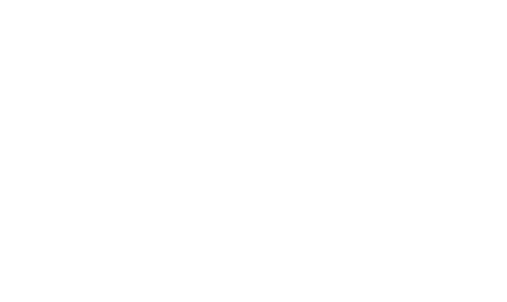 Hood River Distillers logo with mountain silhouette.
