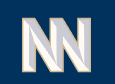Stylized "NN" letters on blue background.